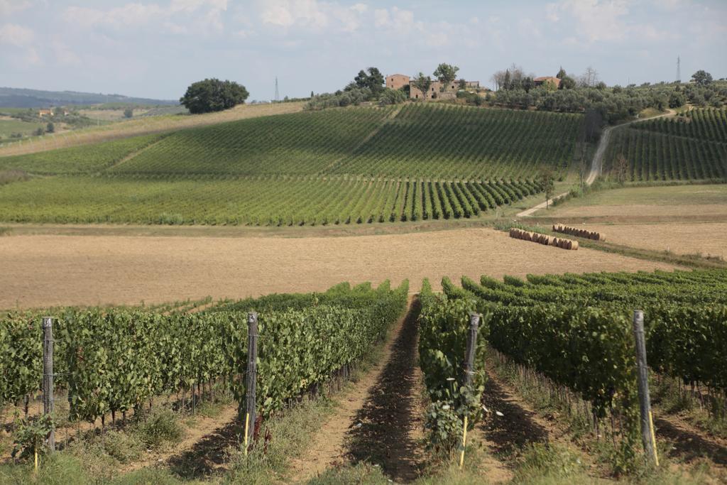 Agriturismo Spazzavento Vinci Dış mekan fotoğraf
